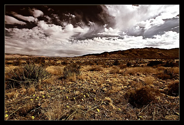 Surreal Desert Landscape