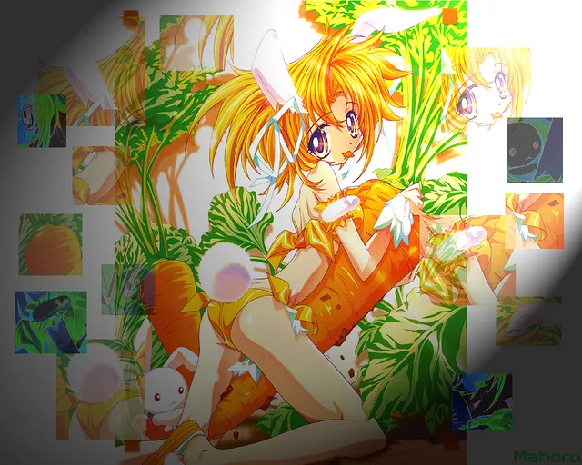 Orange Bunny Wallpaper