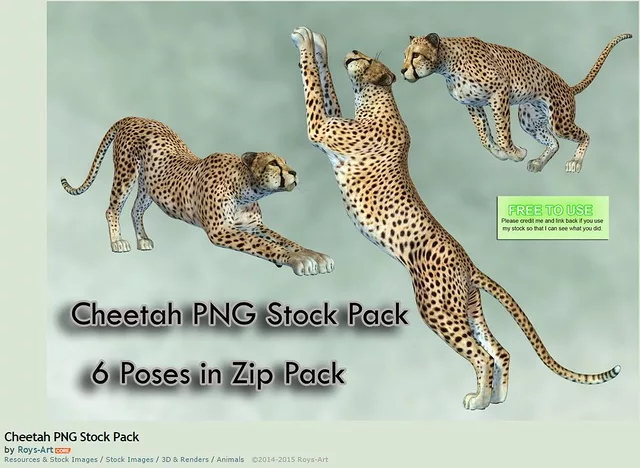 Bamboo Cheetah_vista7