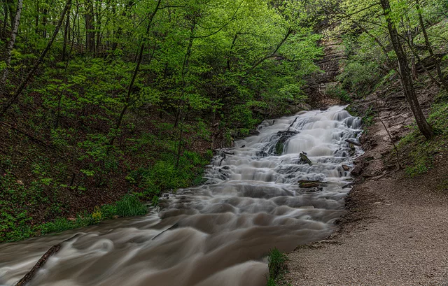 Dunning&amp;acute;s Springs, May 19, 2019