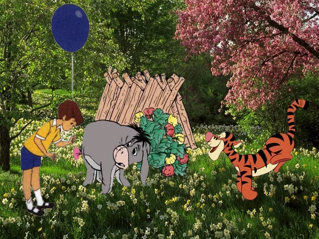 Quiet Times In Woods