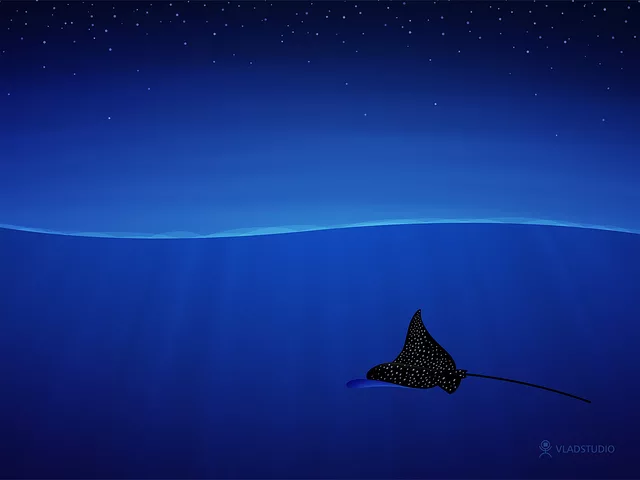 Spotted eagle ray