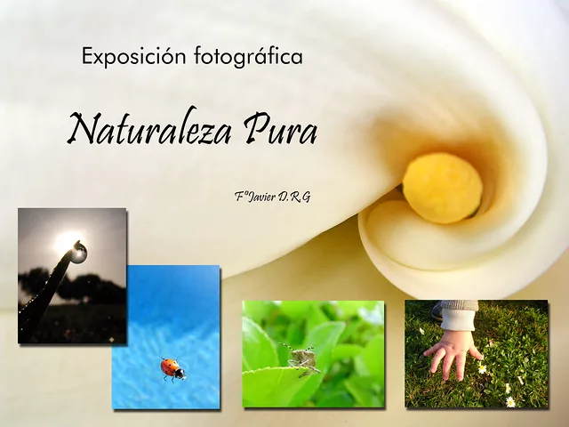 Naturaleza Pura