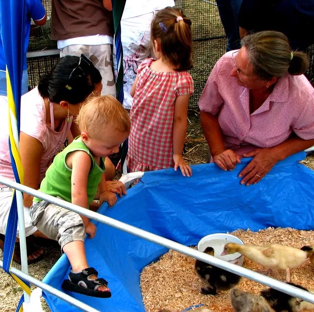 Quick..nobody&amp;acute;s looking!!