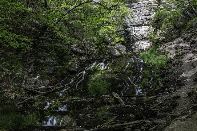 Dunning&amp;acute;s Springs 2