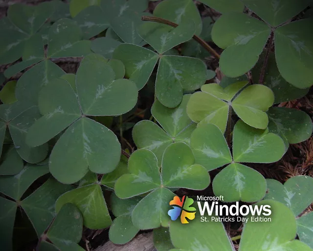 Windows St. Patricks Day