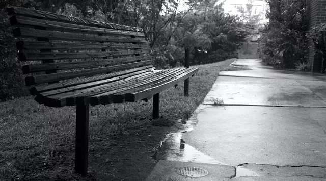Lonely Bench