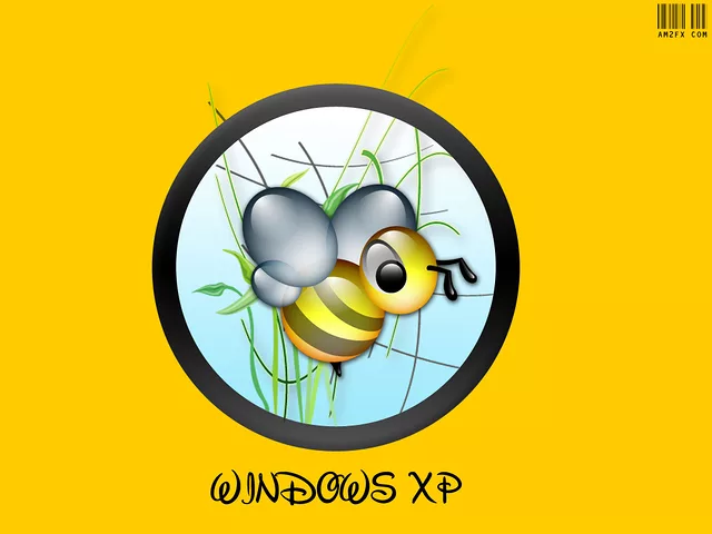 Windows XP
