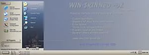 Winskinned-DX