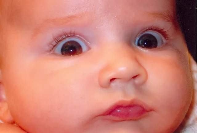 Up Close And Personal