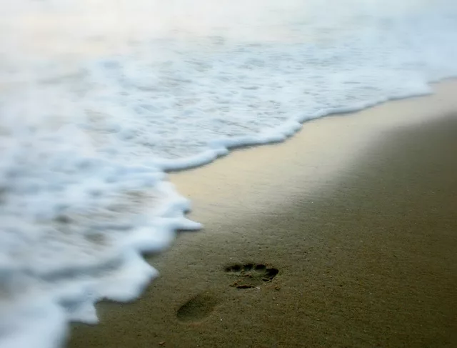 Nothing lasts forever