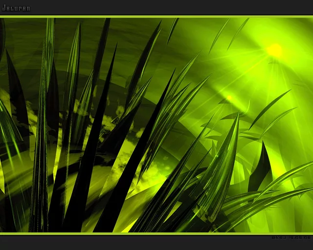 Jaluran for Winstep Xtreme