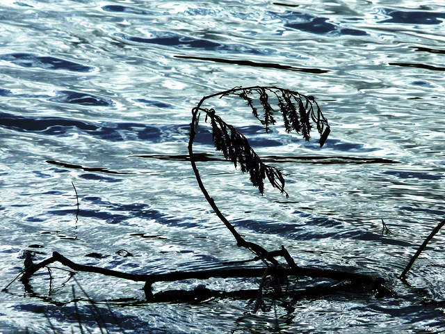 Drifting with the stream