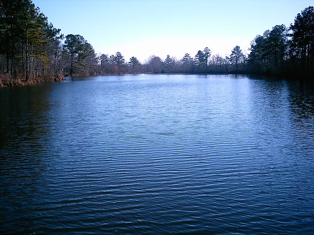 Wiggins Mill Lake (NC)