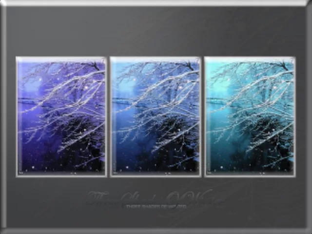 Three Shades Of Winter