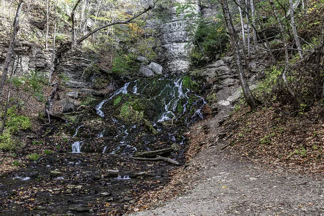 Dunnings Spring 10-16-2023