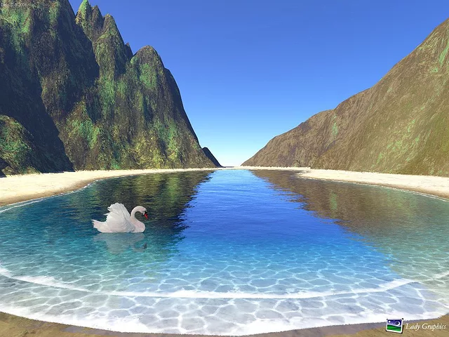 Island and Pretty Swan