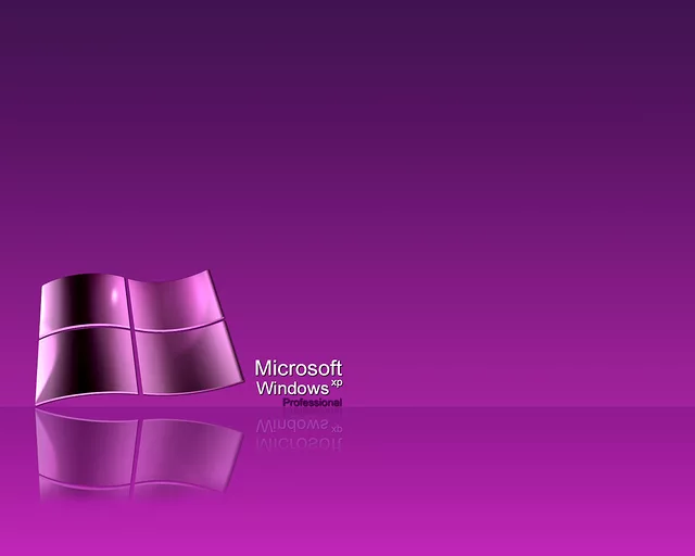 Windows :.PINK.: xp Pro