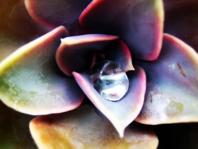 guess where i dropped my reflection...