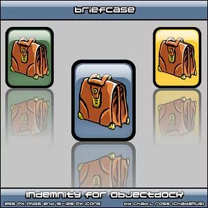 Briefcase (Indemnity)