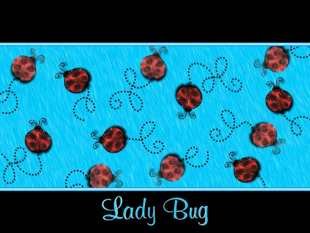Lady Bug