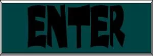 Enter2