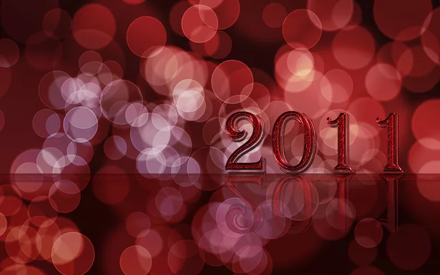 New Year 2011