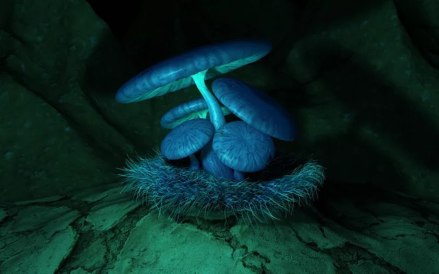 Blue Fungus