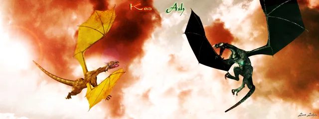 Kao V&amp;acute;s Ash Wallpaper 1.0