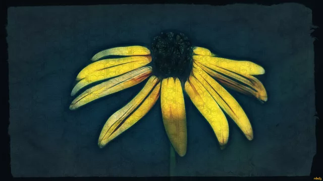 Parchment paper flower
