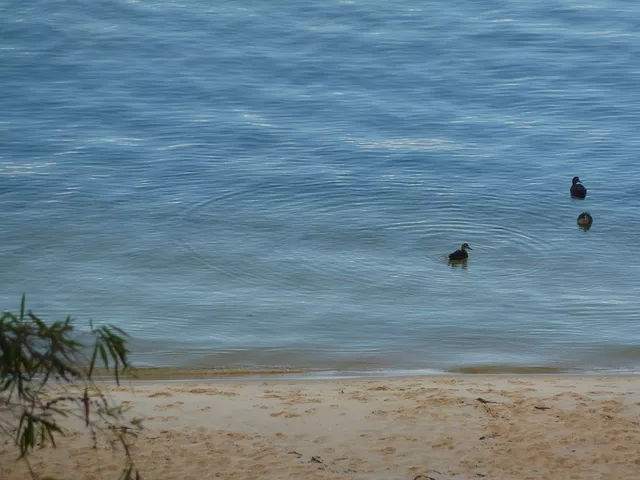 taken from our house