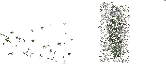 Animus III - Elven Forest - T.King©