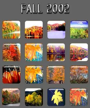 Fall Icon Collection