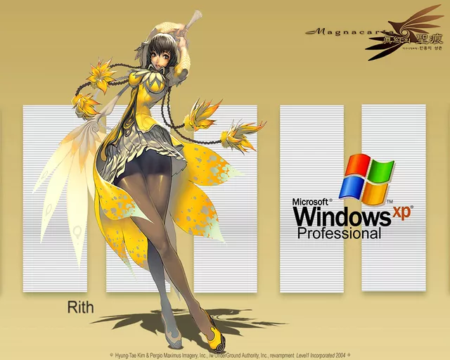 MCCS Rith WinXP Professional