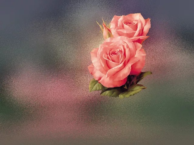 Sprinkled with Fairy Dust