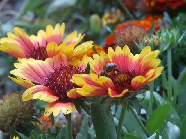 feeding by Gregor Petrovic