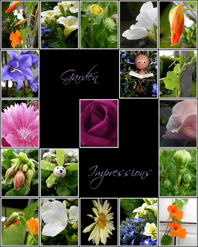 Garden Impressions