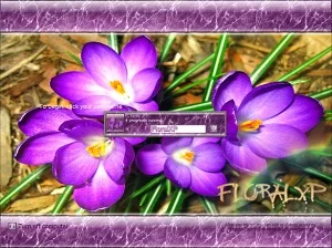 FloralXP logonXP