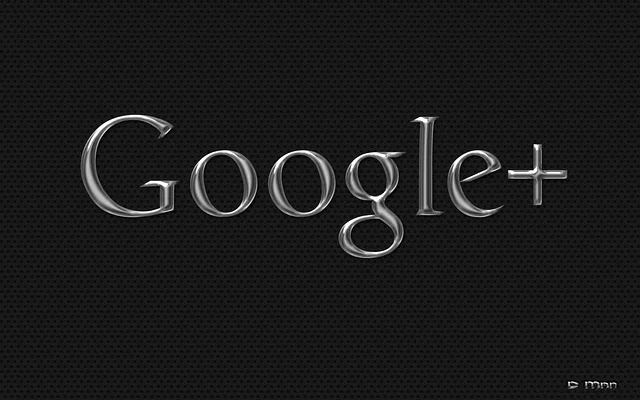 Google+ 1