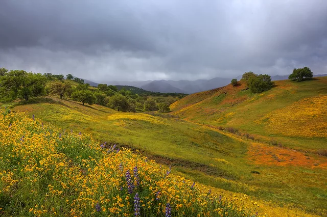 How Peaceful My Valley