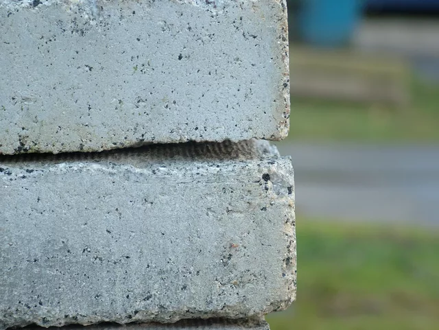 brick wall by Gregor Petrovic