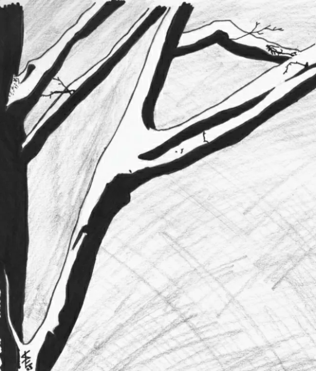 Winter In Burlington