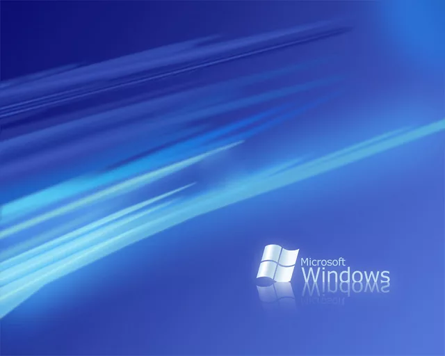 Windows M5