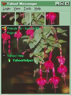 Fuchsia