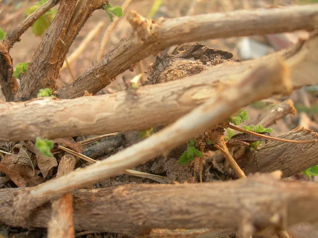 Read between the lines..