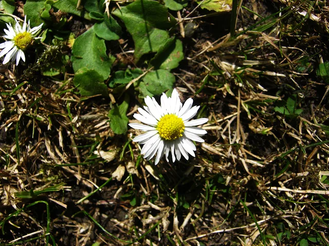 Don&amp;acute;t Ignore Me