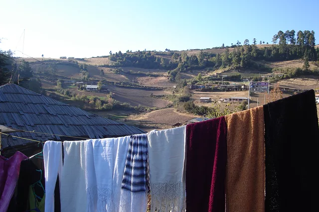 Monarch Sanctuary road