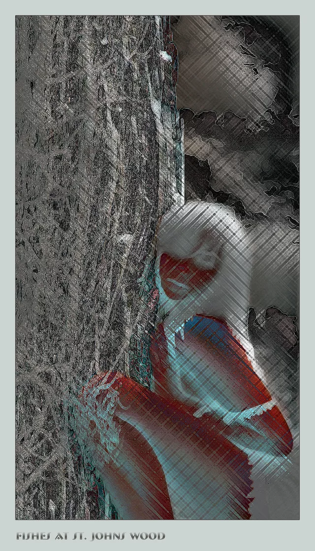 Fishes at St John Wood