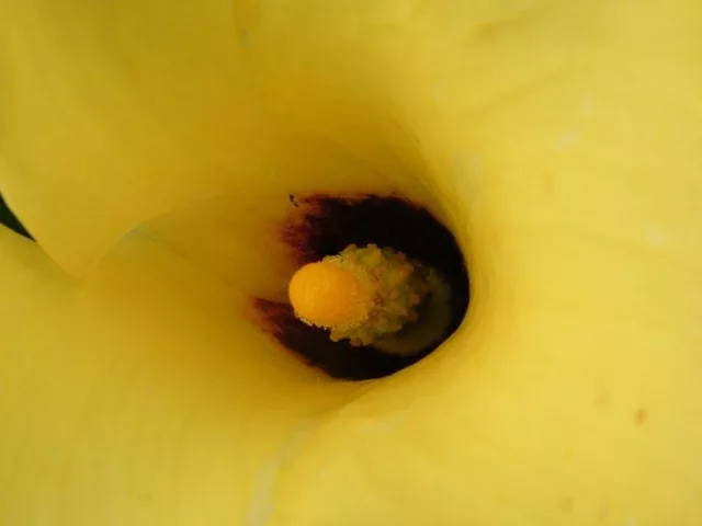 Up Close and Personal