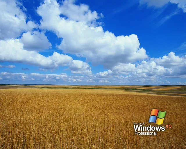 Windows LH Professional